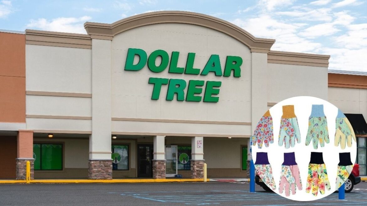 Top Dollar Tree Garden Supplies for Spring Starting at $1.50
