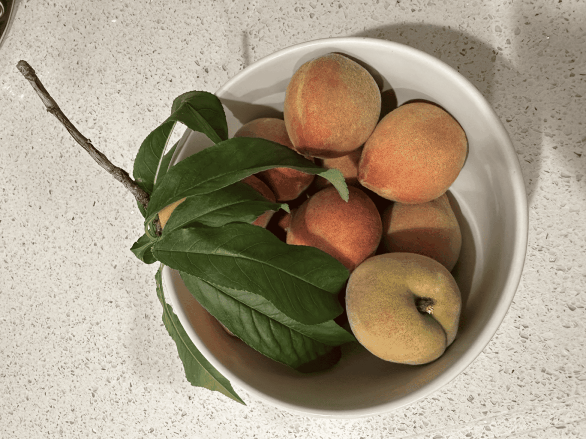 Change of Climate Affects Your Garden – Culver City Crossroads Change of Climate Affects Your Garden – Culver City Crossroads