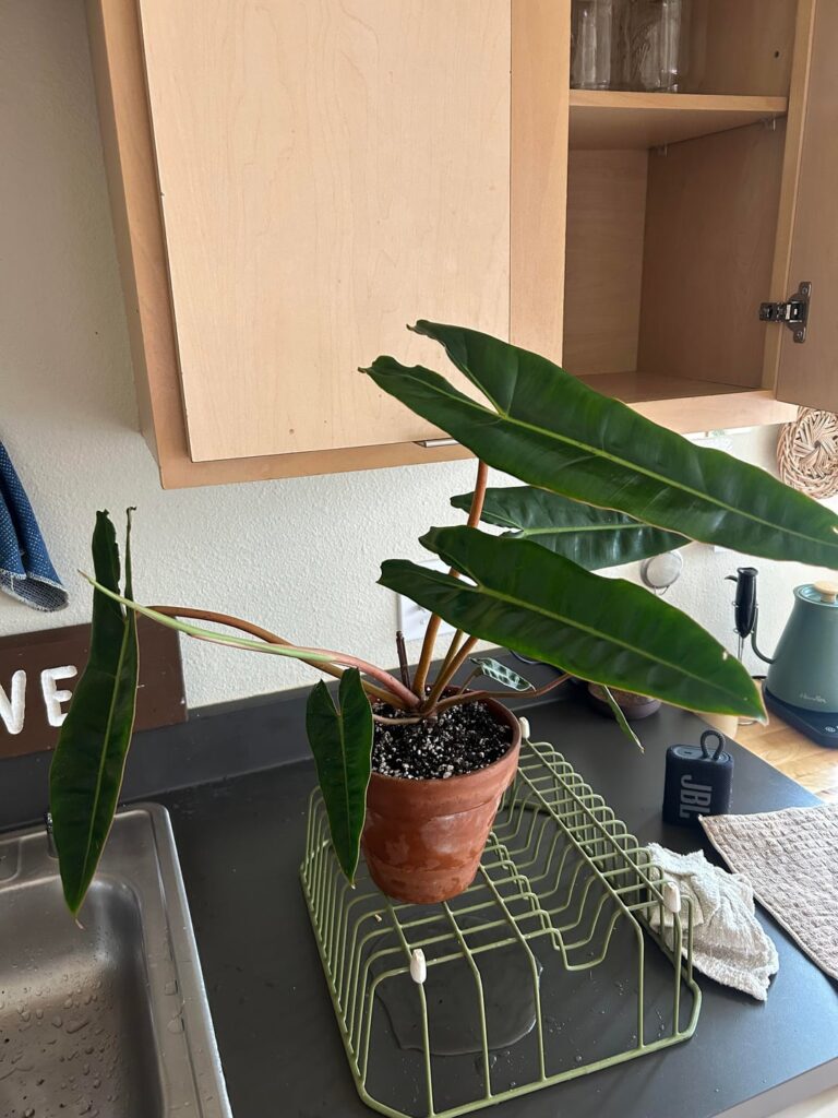 look what I got!!!