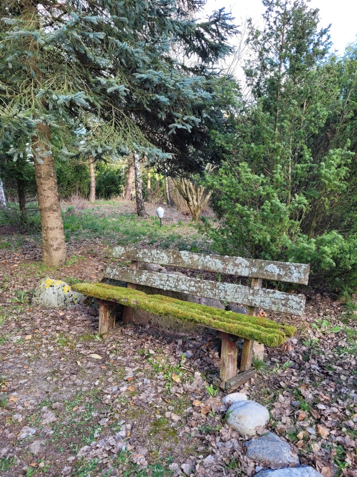 This is the oldest bench in my park, 30 years old. Keep it? 🤔