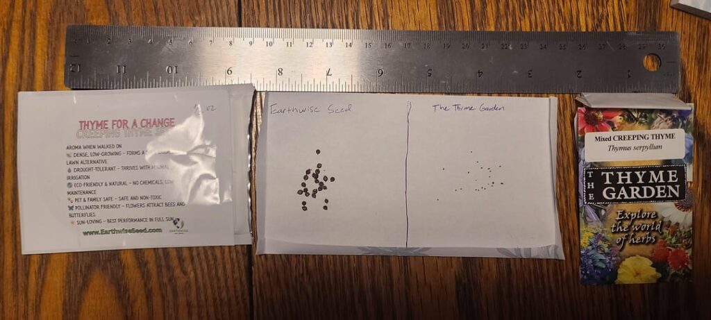 Creeping Thyme Seed