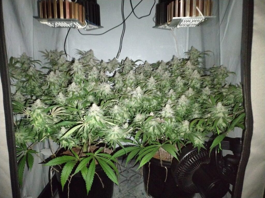 Santa Maria Day 60 only 10 Day's left 😎 I Start too Flush know.