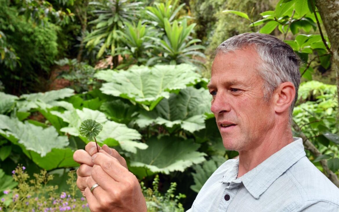 Dunedin gardeners’ efforts to be recognised Dunedin gardeners’ efforts to be recognised