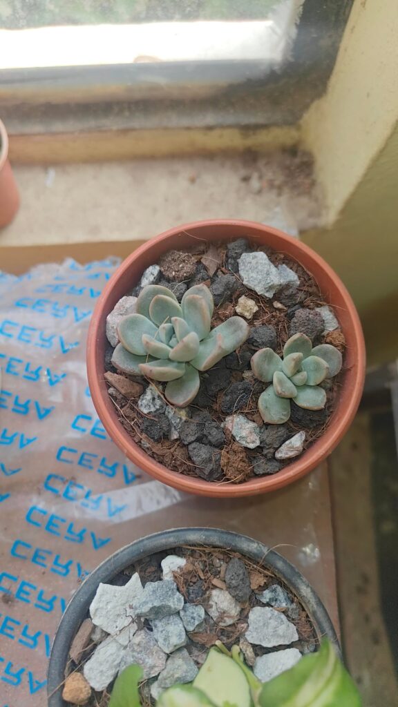 please help id!