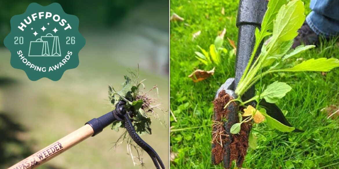 This $40 Gardening Tool Clears Weeds Without You Ever Having To Bend Over