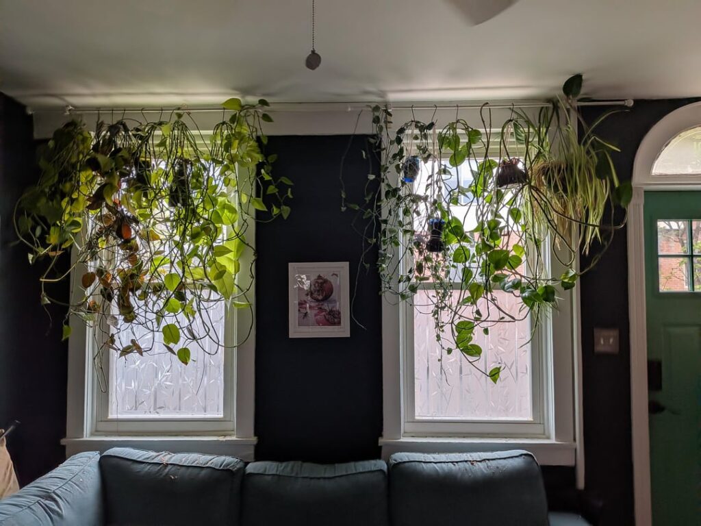 My "sown" curtains
