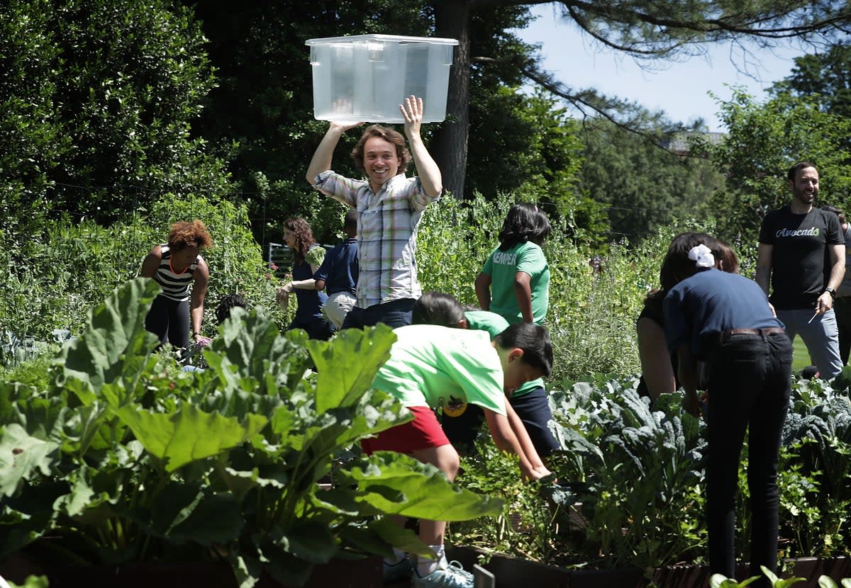 Gardening is a soothing activity that lowers levels of the stress hormone cortisol (Getty Images)