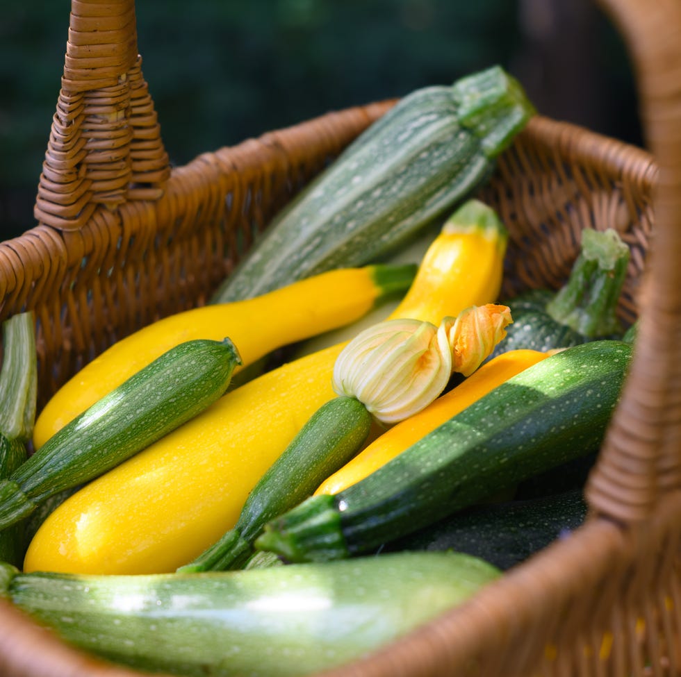 5 vegetables you should plant in small spaces basket of courgettes growing