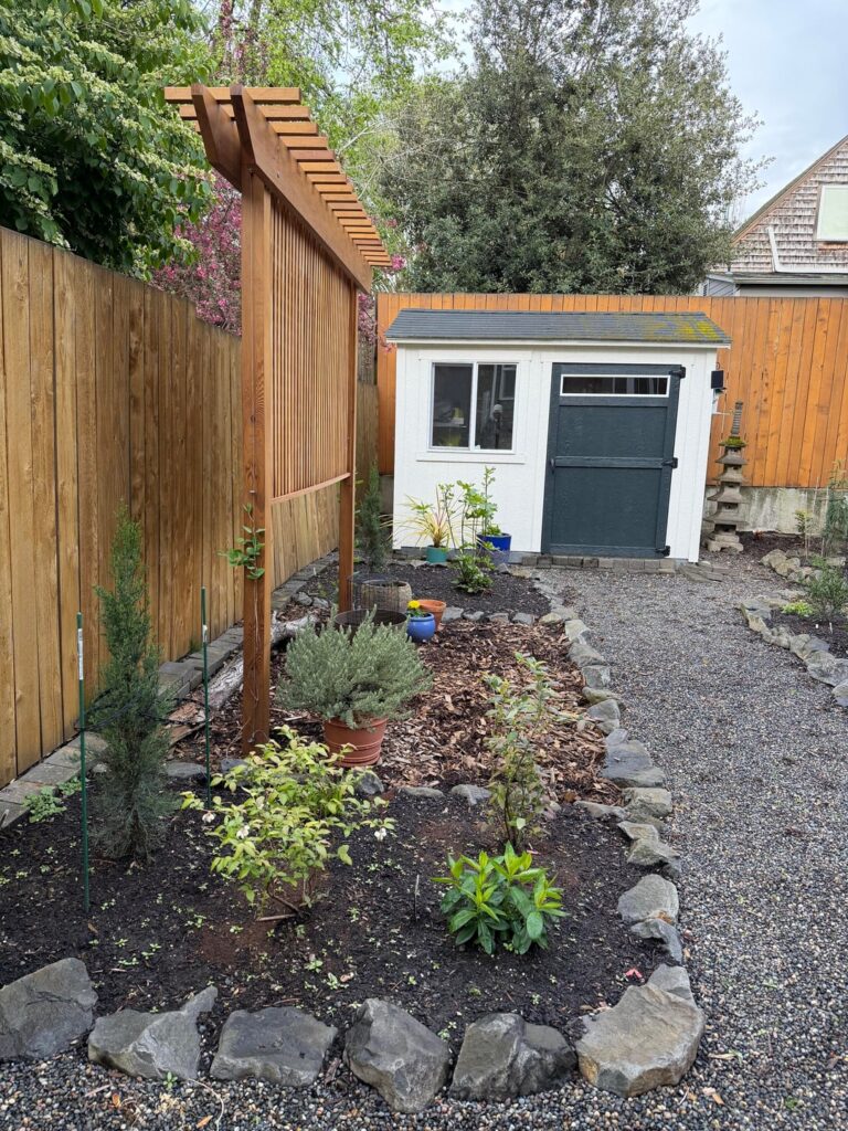 Second spring with no lawn backyard