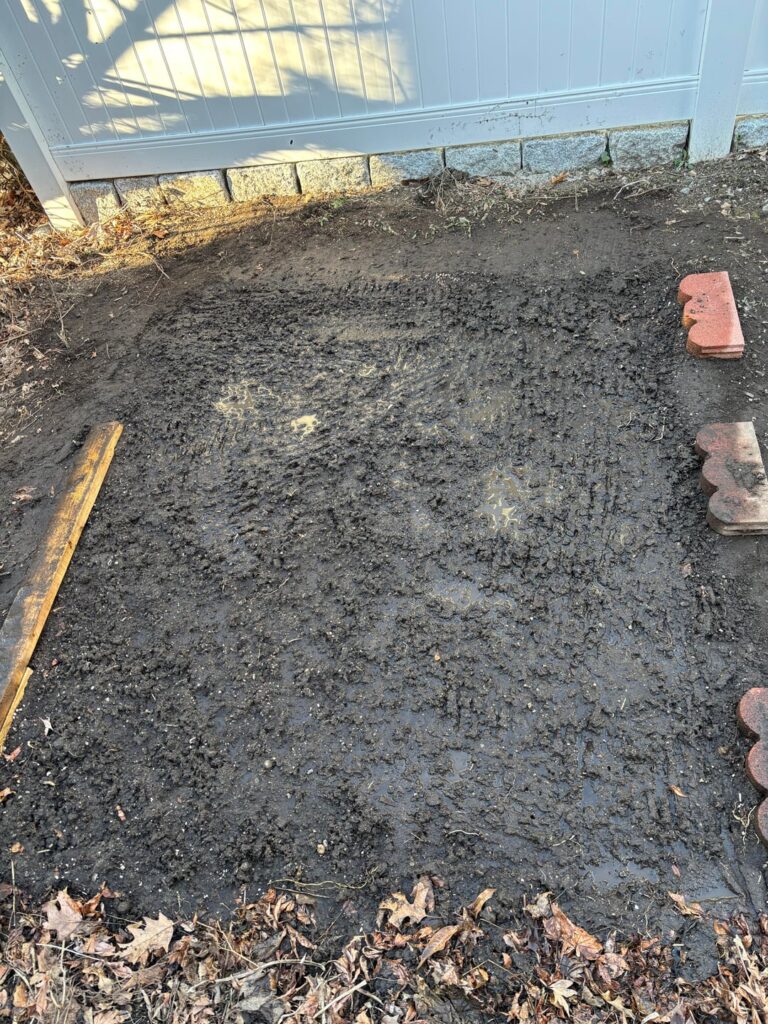 Any chance potatoes will grow in this? Any chance potatoes will grow in this?