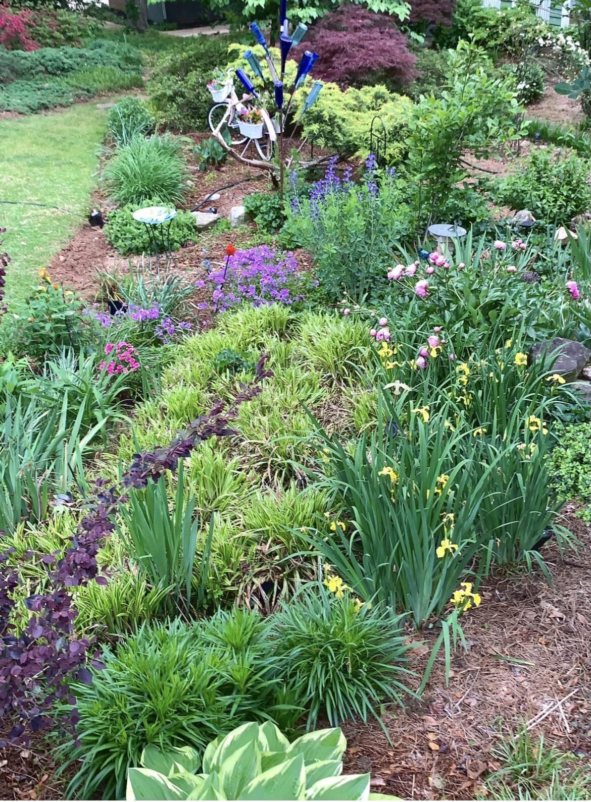 No zero lawn but less and less No zero lawn but less and less