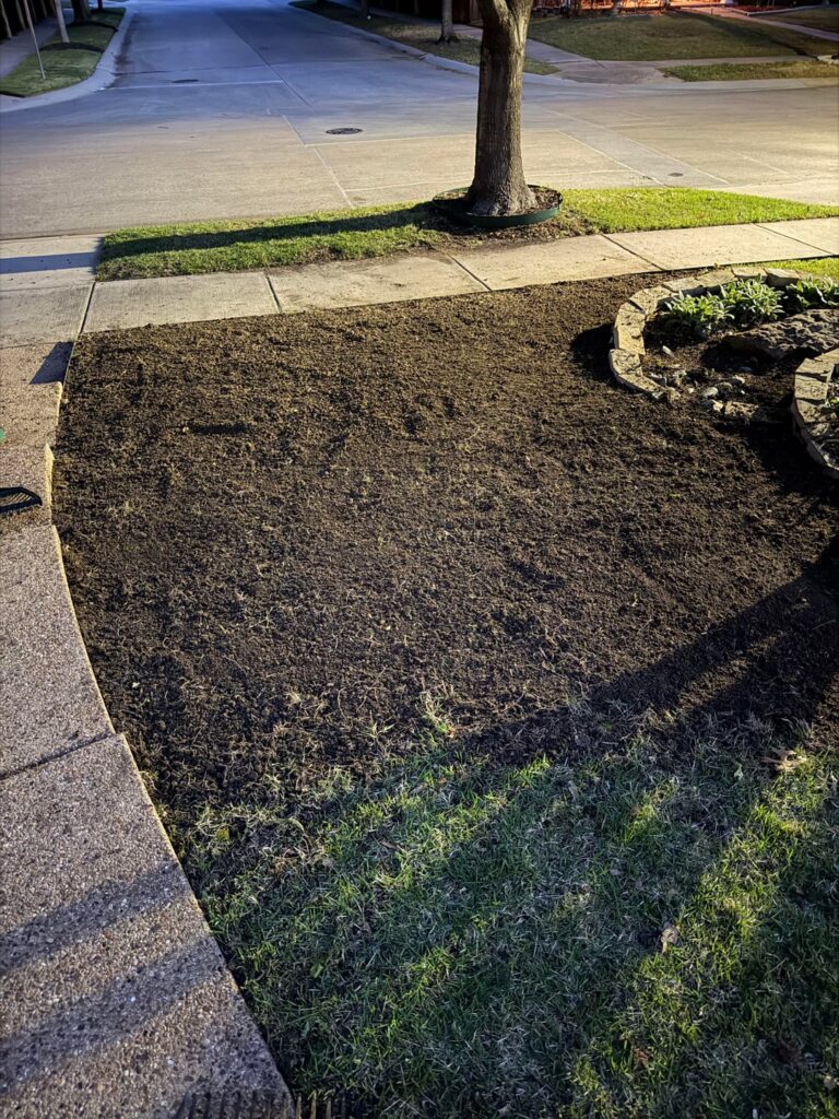 Poke holes in my lawn revival plan (Dallas Tx) Poke holes in my lawn revival plan (Dallas Tx)