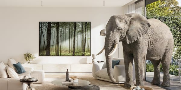 Inside Wimba Ave, Kew’s garden-scale residences designed… Inside Wimba Ave, Kew’s garden-scale residences designed...