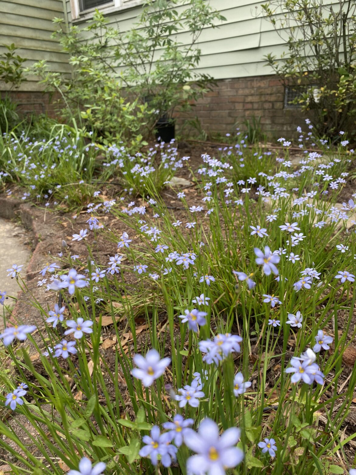 Big fan of this time of year. The appetizer for beautiful things to come!