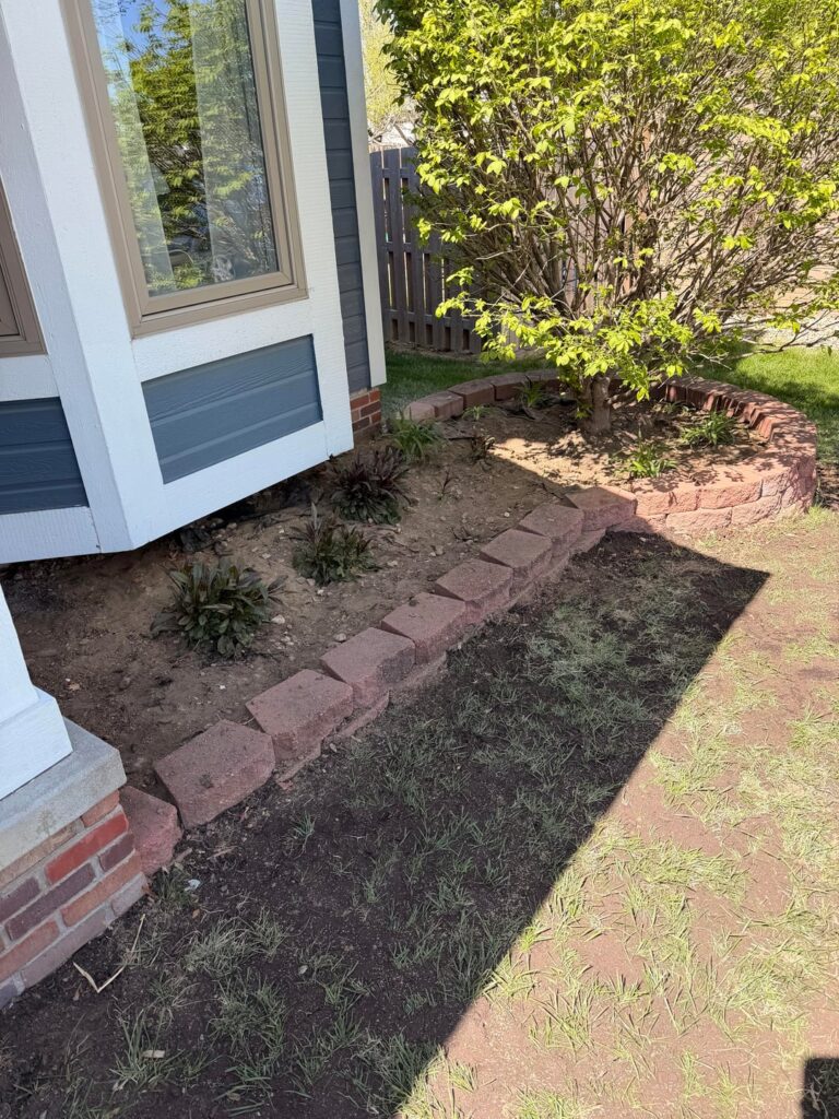 First landscaping project as a homeowner First landscaping project as a homeowner
