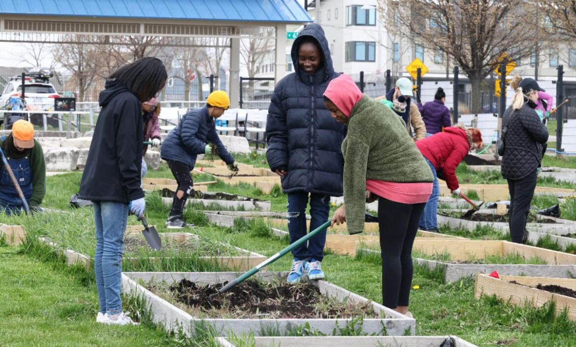 Celebrate Earth Day with community garden prep at Westlawn Celebrate Earth Day with community garden prep at Westlawn