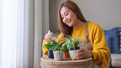 Struggling to keep your indoor plants alive? Gardening expert reveals 5 houseplants that thrive with minimal care, are almost impossible to kill and perfect for beginners