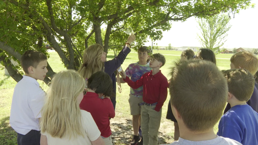 Students at Joplin elementary dig into gardening Yahoo lifestyle home