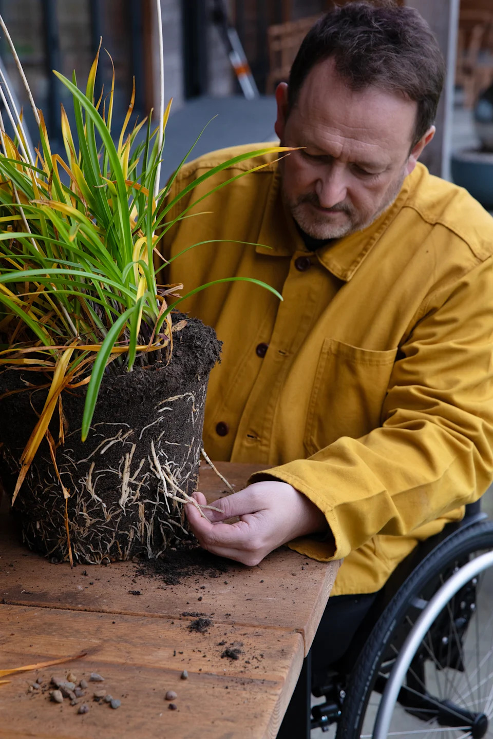 Mark Lane examining the roots of a plant (Sarah Cuttle/PA)