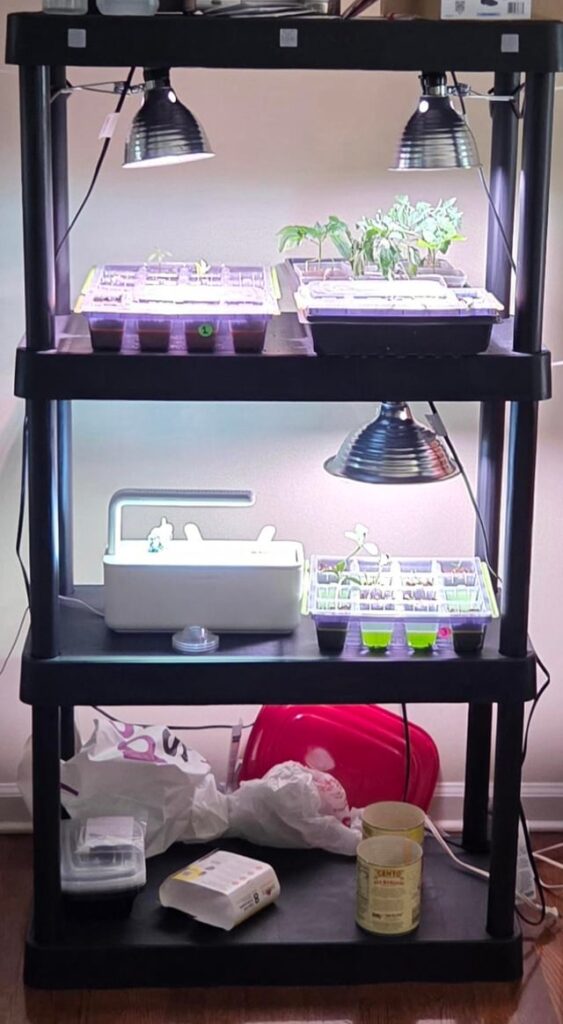 Indoor Seed Starting Setup: Need Advice
