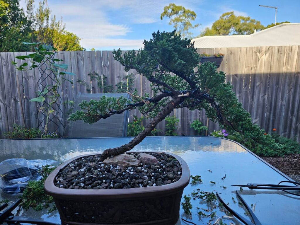 Looking for advice