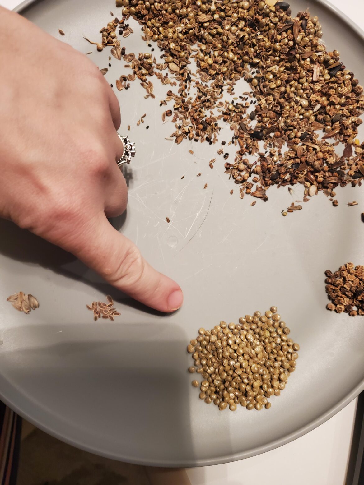 Help! Seeds are all mixed up!