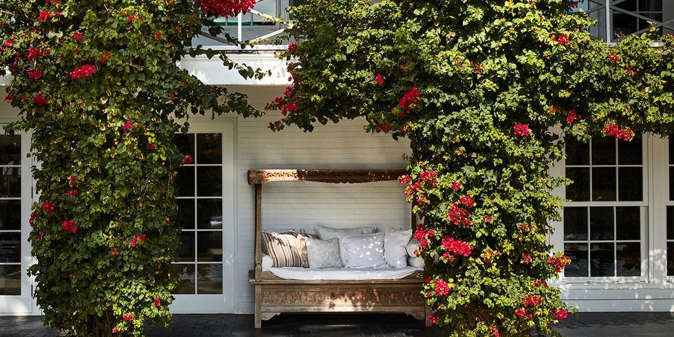 The Biggest Backyard Trends for 2026, According to Designers The Biggest Backyard Trends for 2026, According to Designers
