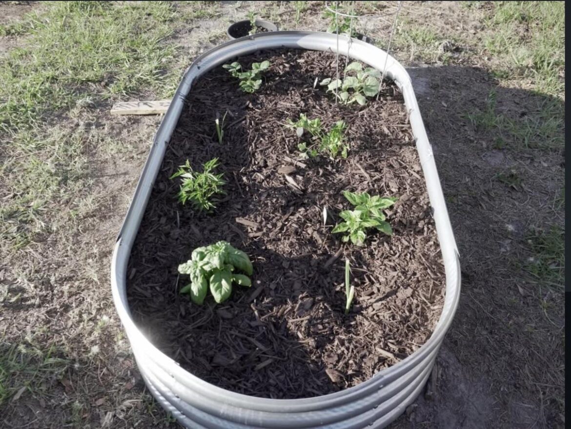 Made a small garden!