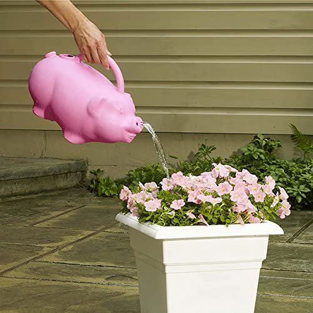 Root & Vessel Babs the Pig watering can