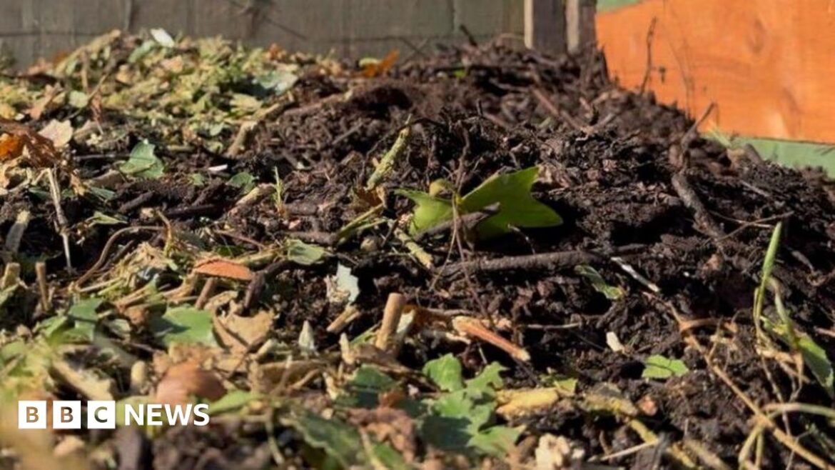 Staffordshire Moorlands garden waste charges due to start in June A pile of compost and garden waste is piled up in a container. There are green leaves as well as brown mulch and twigs.