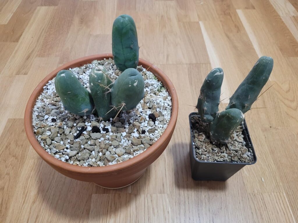2 month update on the experiment. 2 month update on the experiment.