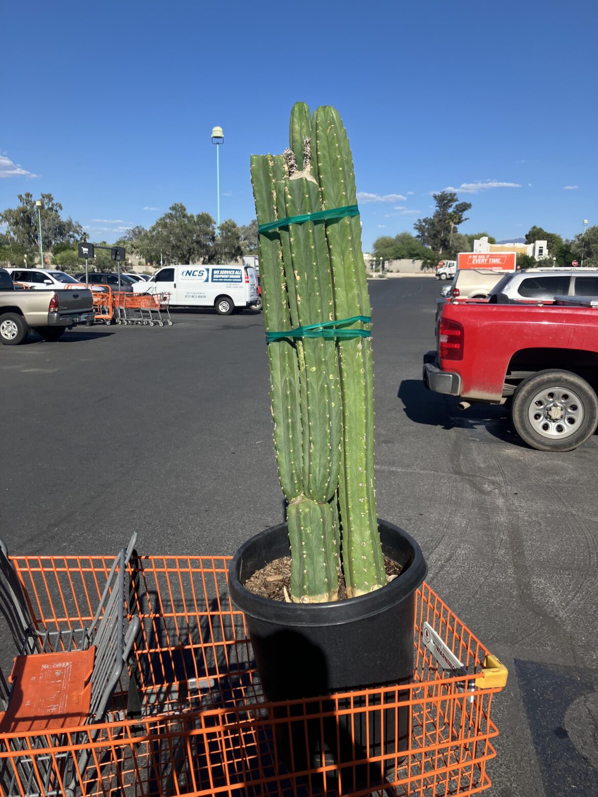 Score at HD