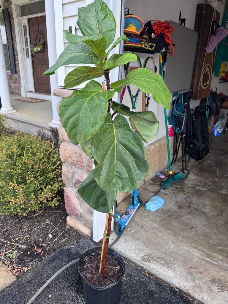 How to help?