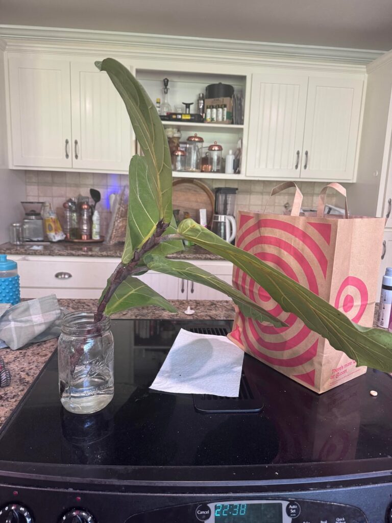 Planting the Prop