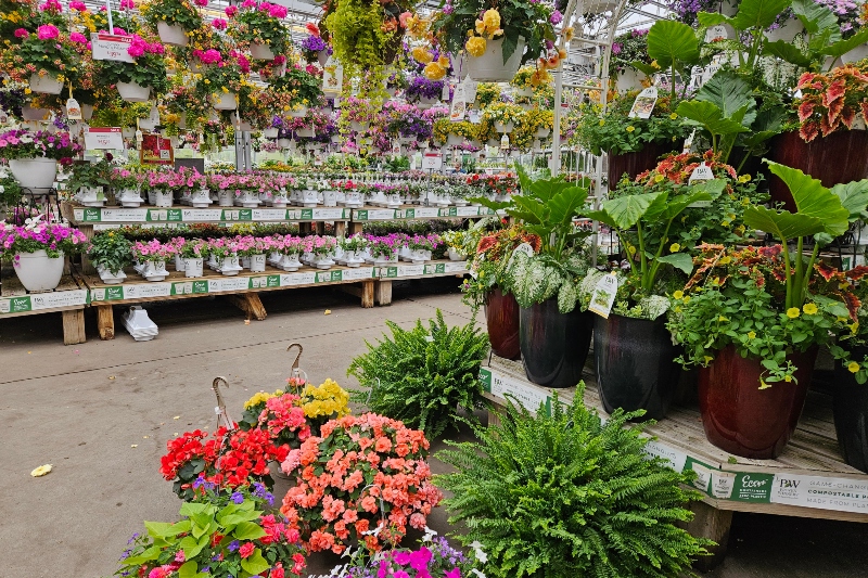 Best Mother’s Day Gifts in Metro Detroit: Flowers, Plants & Spring Finds at English Gardens Best Mother’s Day Gifts in Metro Detroit: Flowers, Plants & Spring Finds at English Gardens