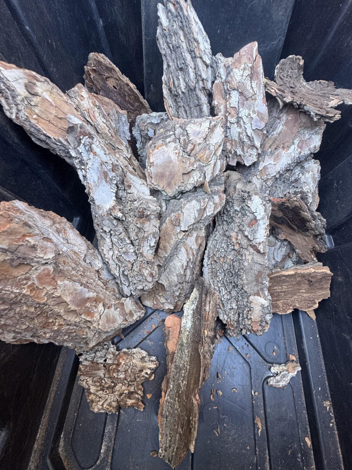Best way to sterilize pine bark . For tarantula enclosure . Bleach bath, vinegar salt bath? Oven ? Microwave ?