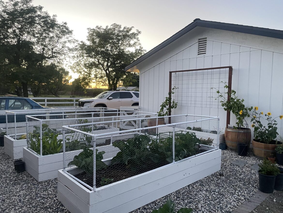 Added a grape wall