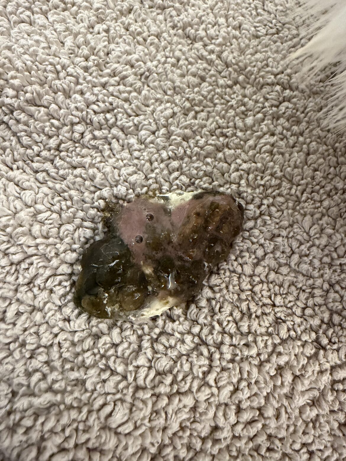 Sorry for the 💩 pic!