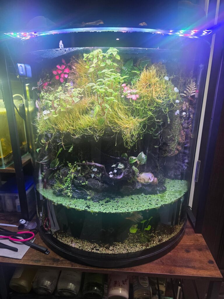 Sometimes all it takes is one plant. <3