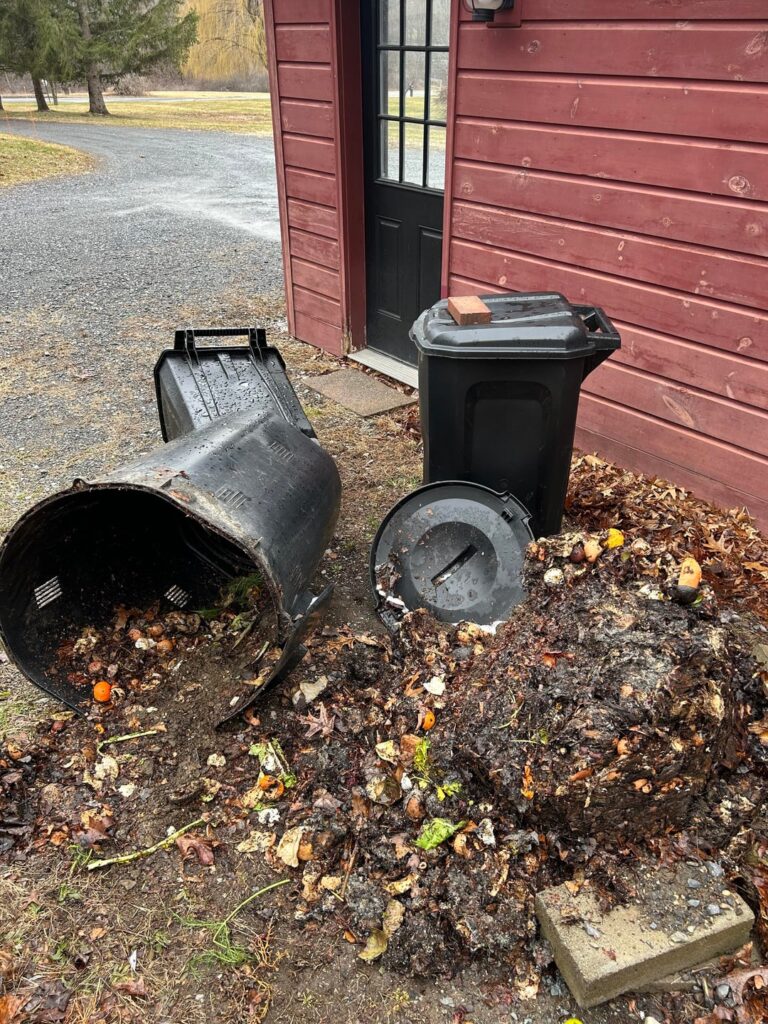 Countryside composting - wire under bin a good idea?