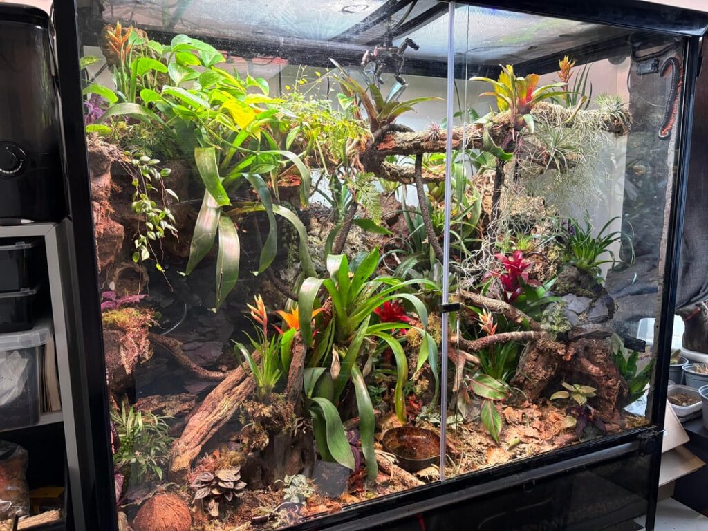 My ecosystem