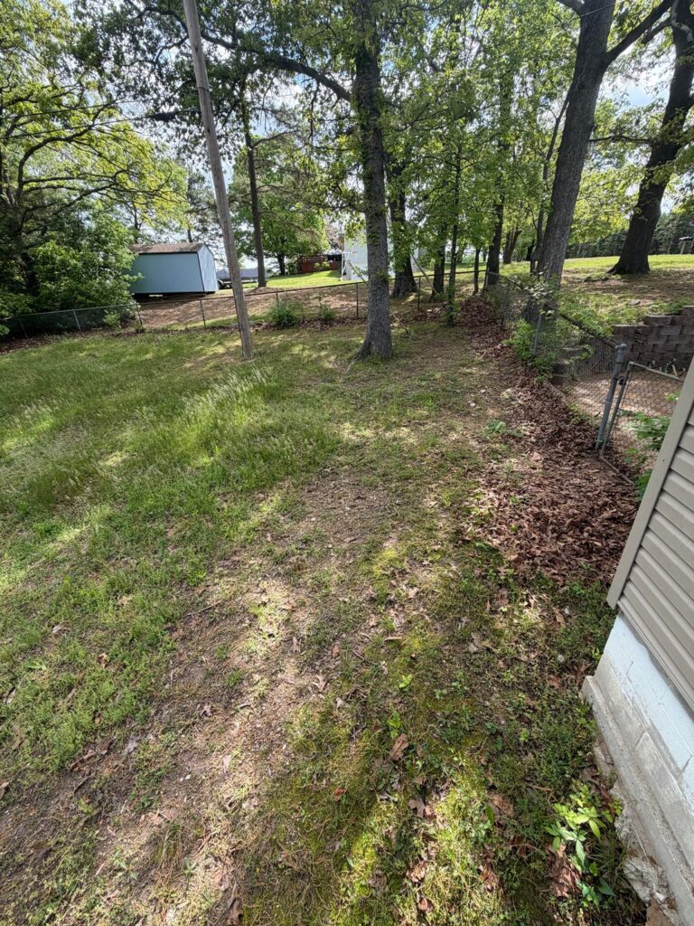 Help my find the mower/lawn care tools for this type of yard Help my find the mower/lawn care tools for this type of yard