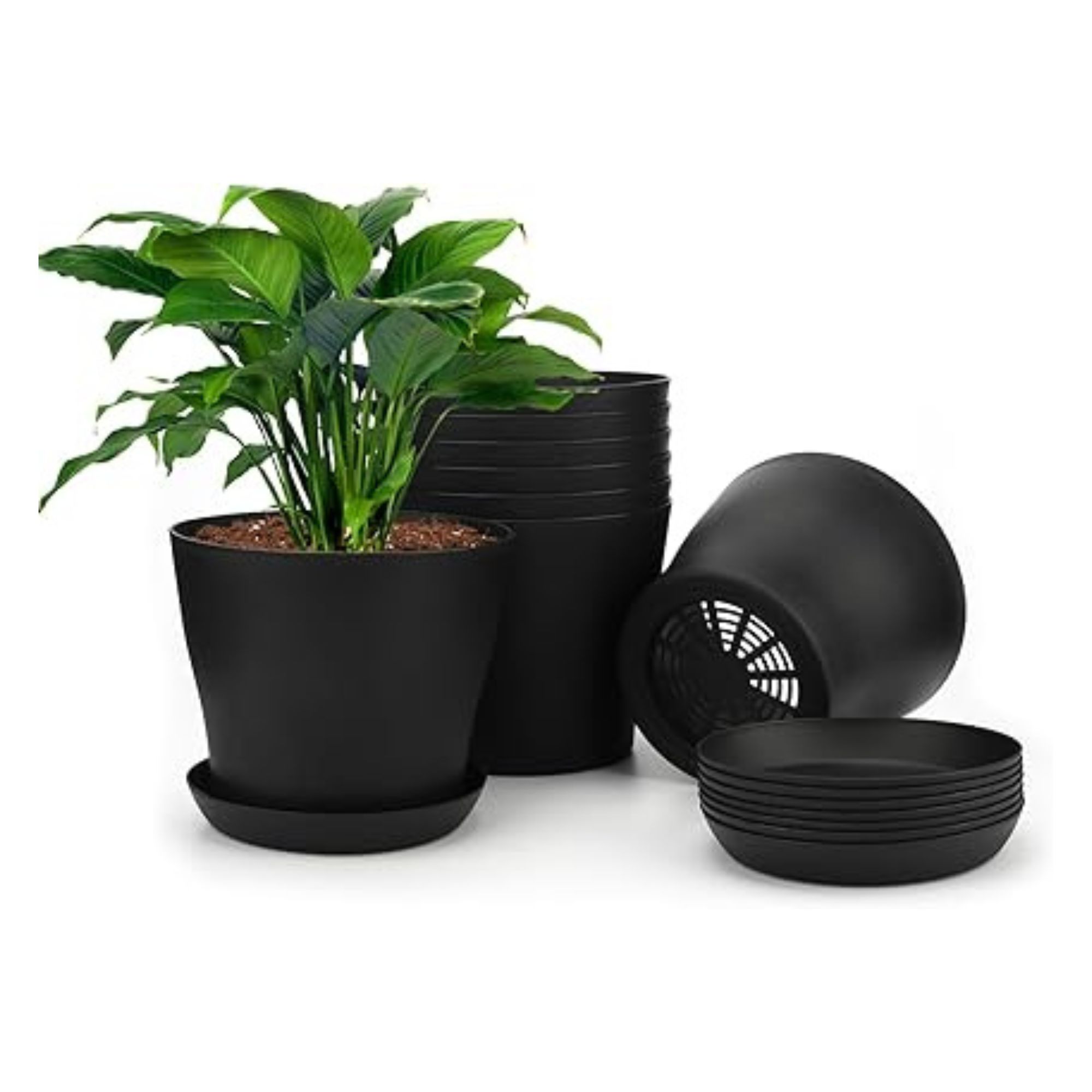 black plastic pots