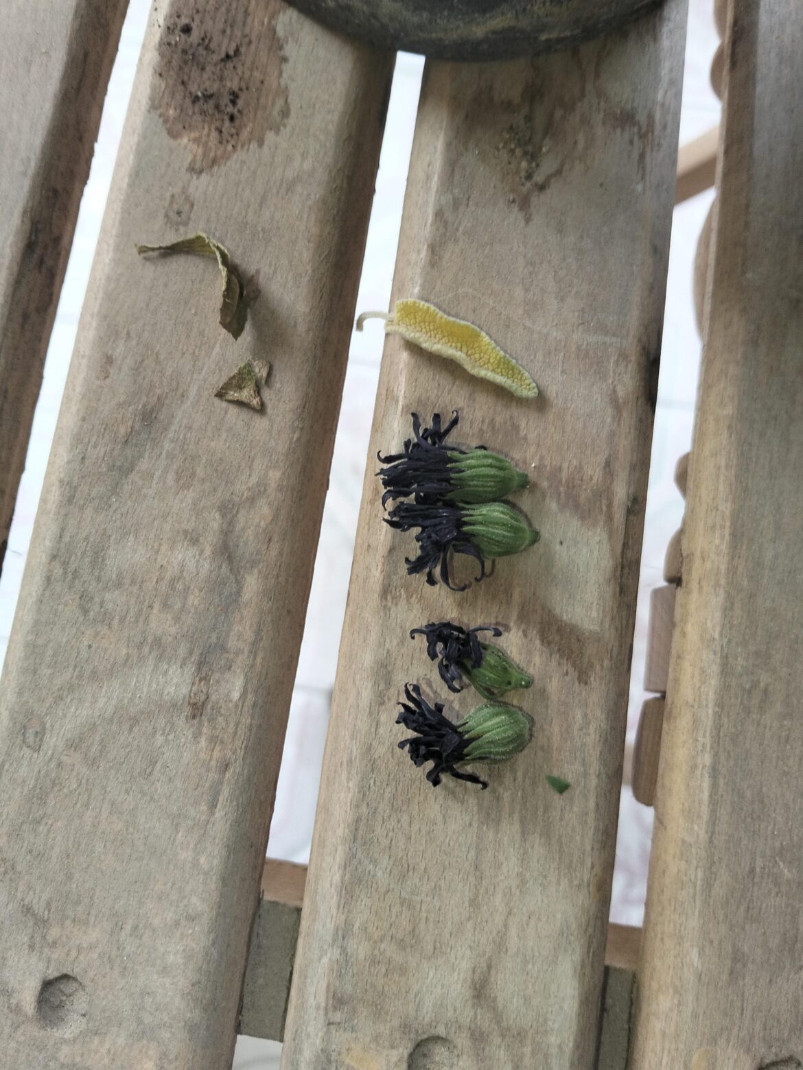 Are any of these viable for fertilizer?