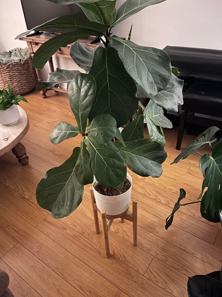Should I be worried about this soil?