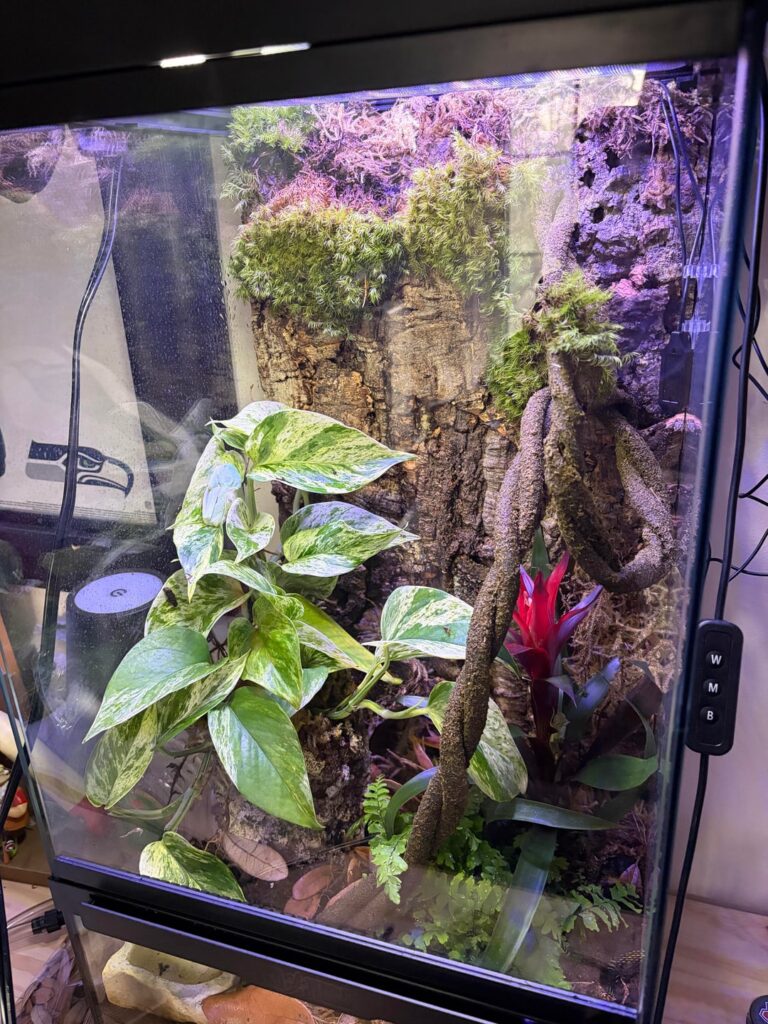 How’s it looking so far