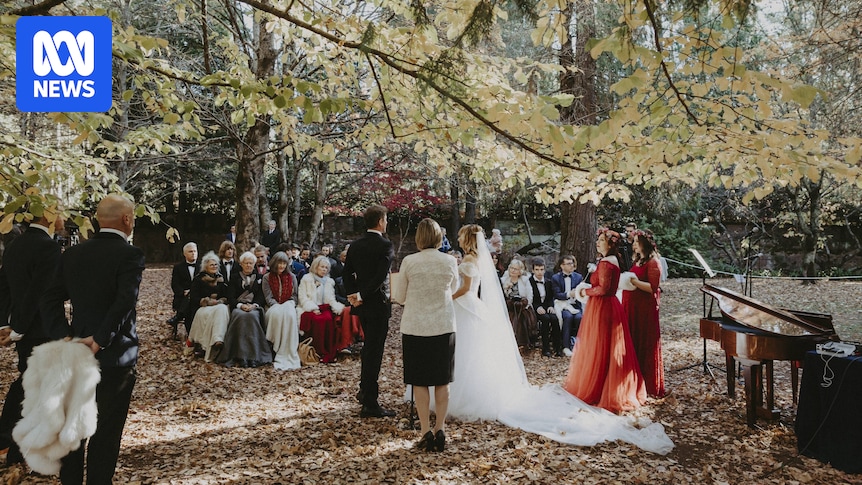 Weddings cancelled after road to Mount Wilson in the Blue Mountains fails Weddings cancelled after road to Mount Wilson in the Blue Mountains fails