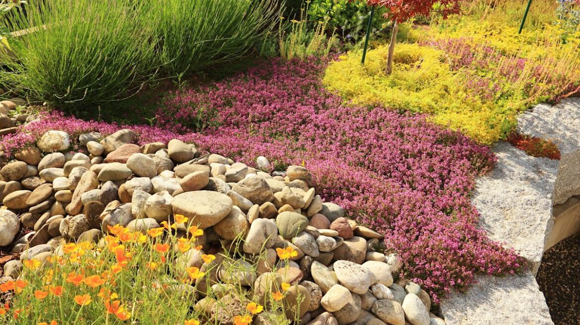 11 Costco Plants For Low-Maintenance Gardeners 11 Costco Plants For Low-Maintenance Gardeners