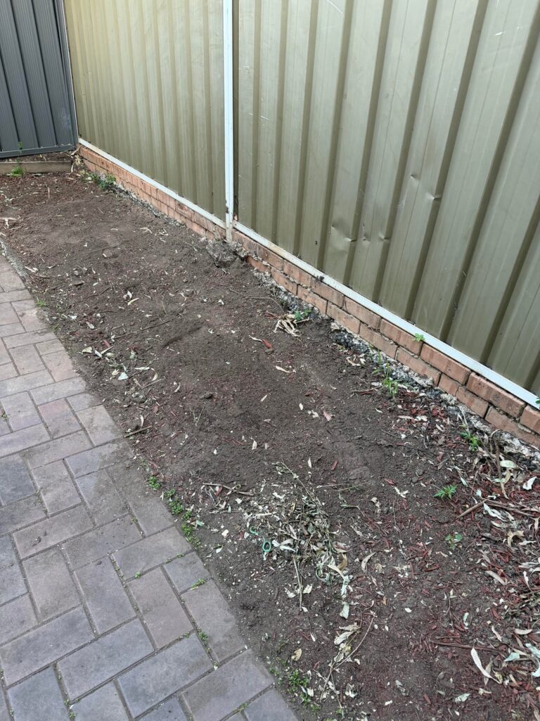 Wanting to start a veggie garden Wanting to start a veggie garden