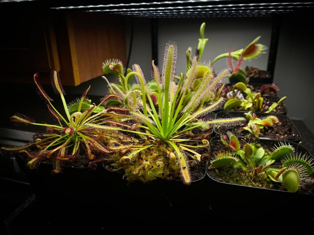 Indoor setup
